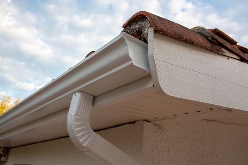 Gutter and Roof Interface